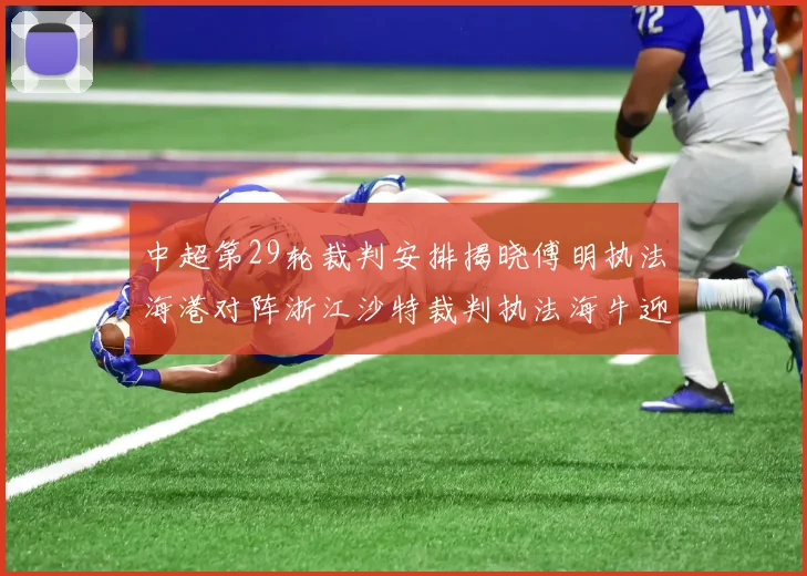 中超第29轮裁判安排揭晓傅明执法海港对阵浙江沙特裁判执法海牛迎战三镇