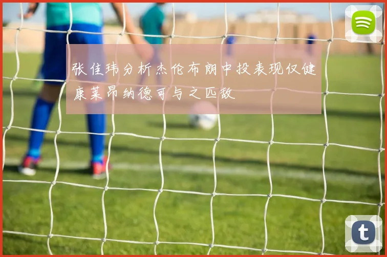 张佳玮分析杰伦布朗中投表现仅健康莱昂纳德可与之匹敌